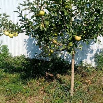 Продается Дом, 180 м²