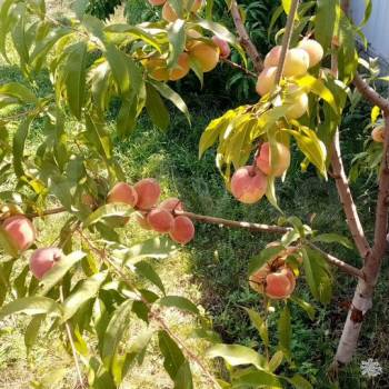 Продается Дом, 180 м²