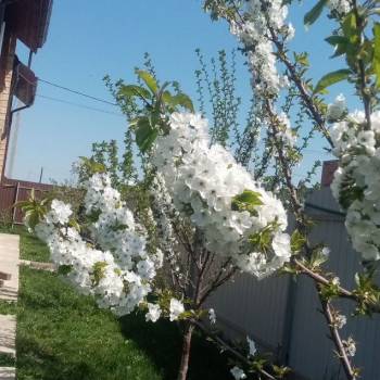 Продается Дом, 180 м²