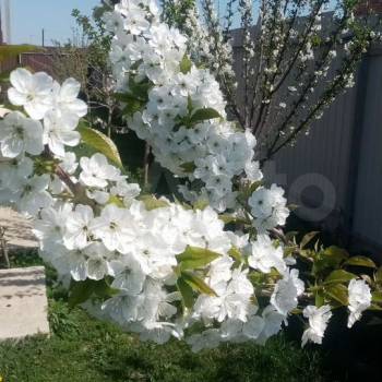 Продается Дом, 180 м²