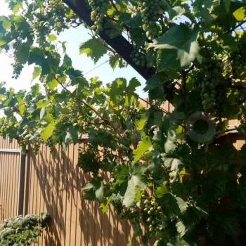 Продается Дом, 180 м²