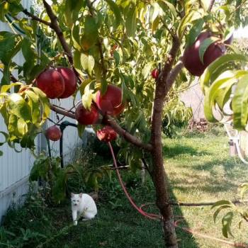 Продается Дом, 180 м²