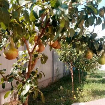 Продается Дом, 180 м²