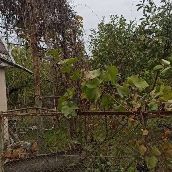 Продается Дом, 40 м²