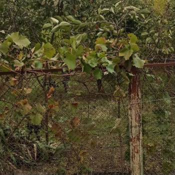 Продается Дом, 40 м²