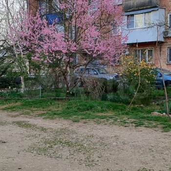 Продается 3-х комнатная квартира, 56,6 м²