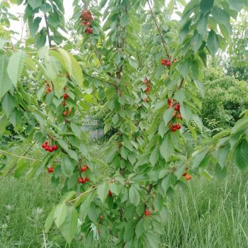 Продается Участок, 2200 м²