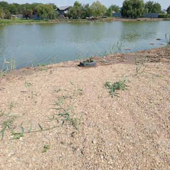 Продается Участок, 2200 м²