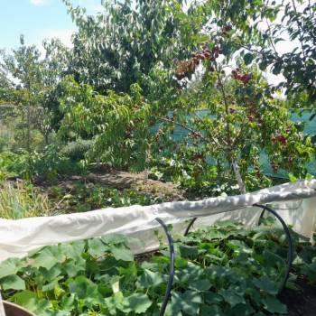 Продается Дом, 45 м²