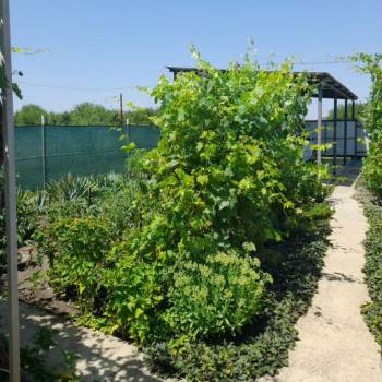 Продается Дом, 45 м²