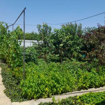 Продается Дом, 45 м²