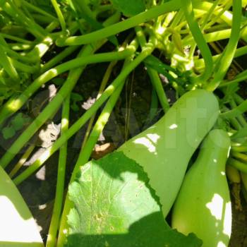 Продается Дом, 45 м²