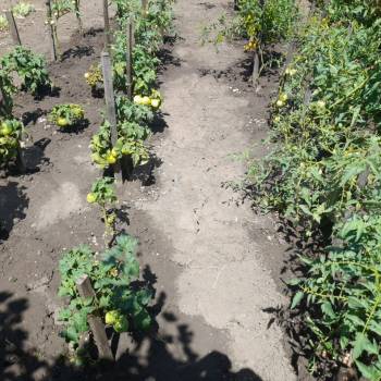 Продается Дом, 45 м²