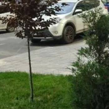 Сдается Нежилое помещение, 54,5 м²