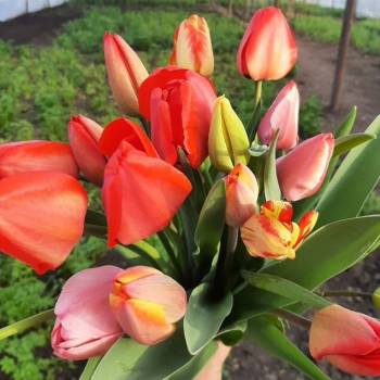 Продается Дом, 100 м²