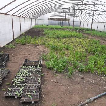 Продается Дом, 100 м²