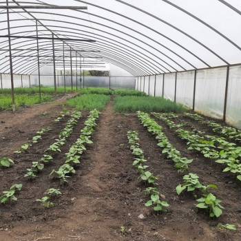 Продается Дом, 100 м²