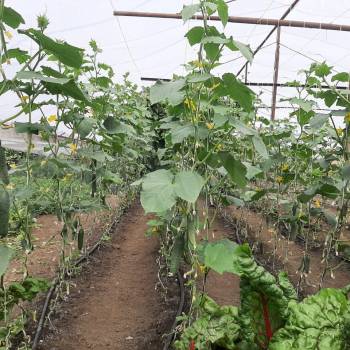 Продается Дом, 100 м²