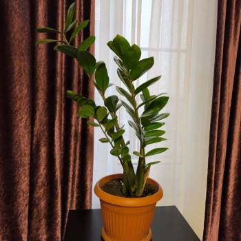 Продается 2-х комнатная квартира, 67 м²