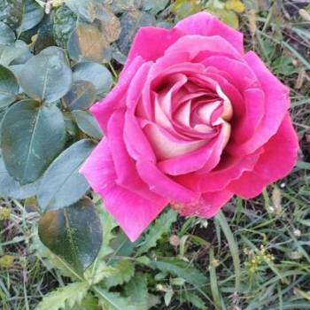 Продается Участок, 1200 м²