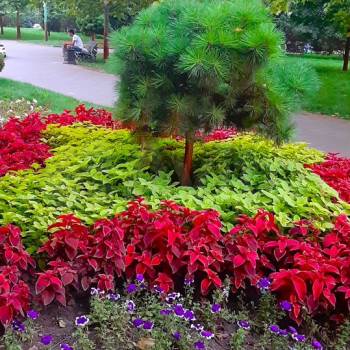 Продается 3-х комнатная квартира, 75,3 м²