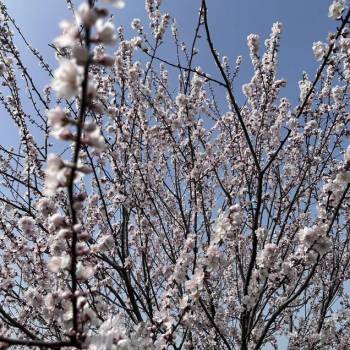 Продается Участок, 800 м²