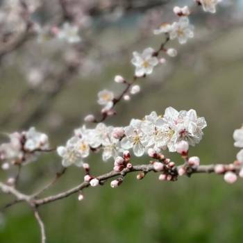 Продается Участок, 800 м²