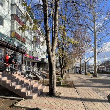 Сдается Нежилое помещение, 43 м²