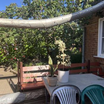 Сдается Комната, 30 м²