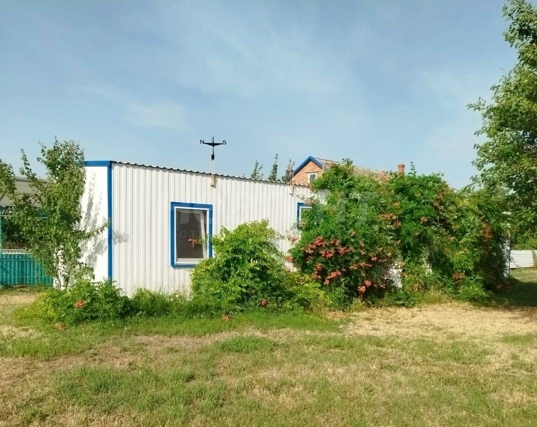 Фотография №2