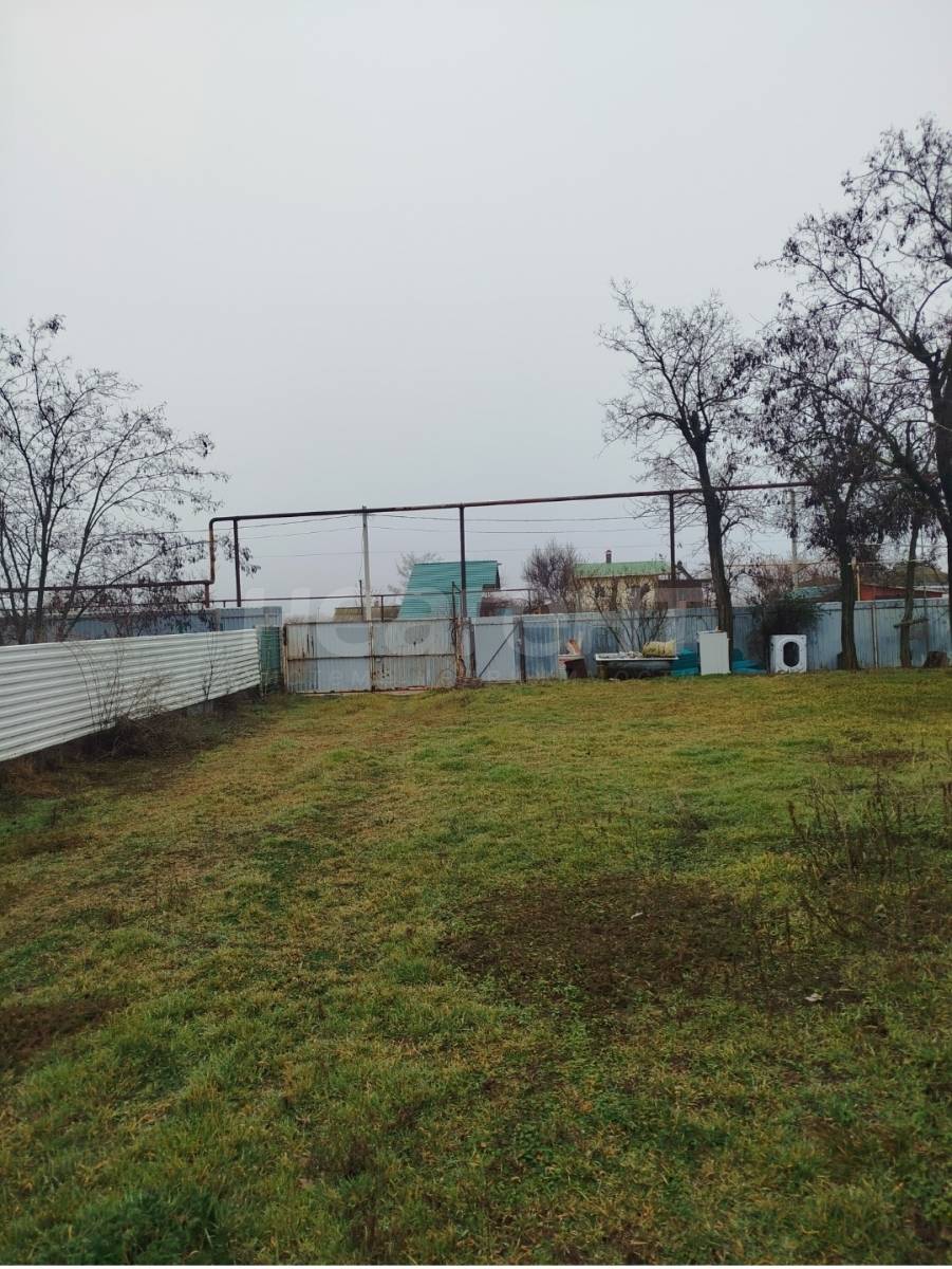 Фотография №3