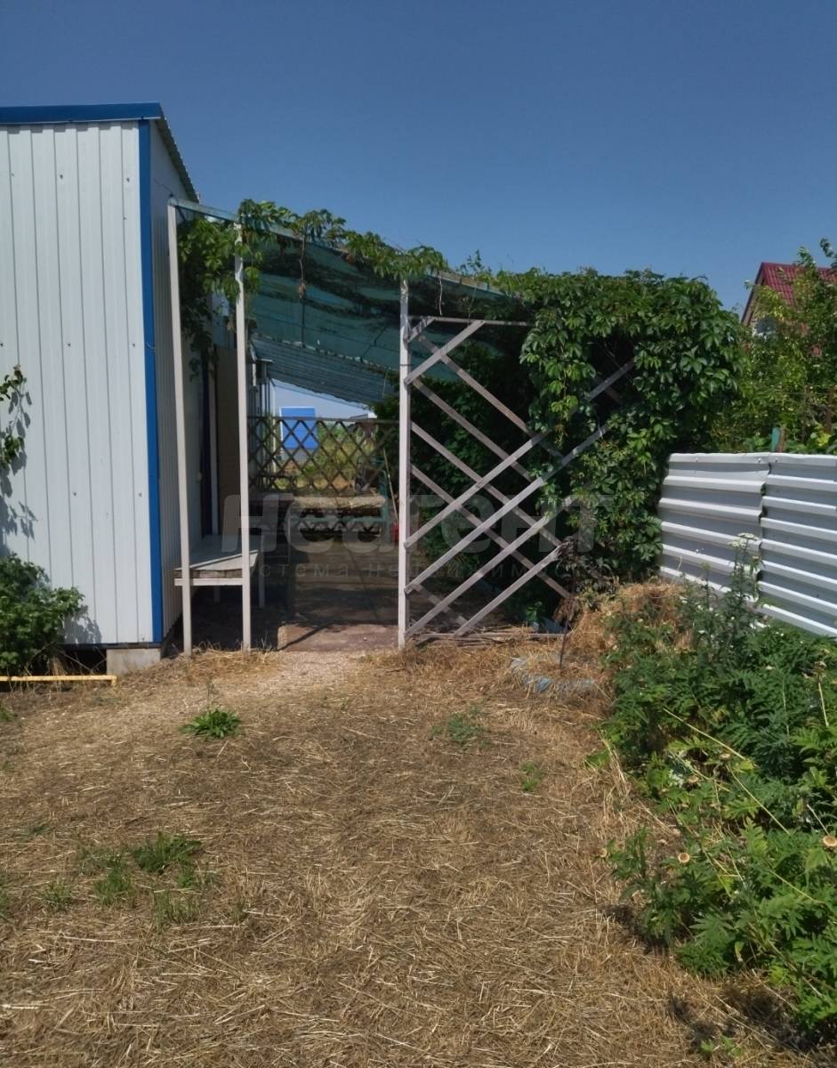 Фотография №4