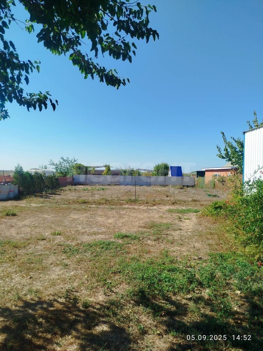 Фотография №9