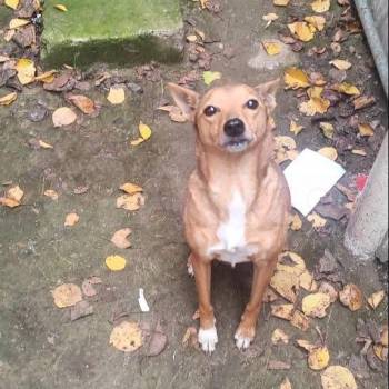 Сдается Дом, 80 м²