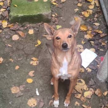 Сдается Дом, 80 м²