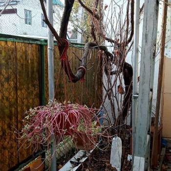 Продается Дом, 42 м²