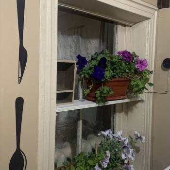 Сдается Дом, 40 м²