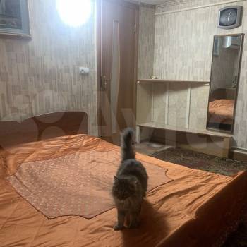 Сдается Дом, 40 м²