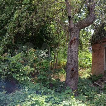 Продается Дом, 27 м²