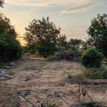 Продается Участок, 750 м²