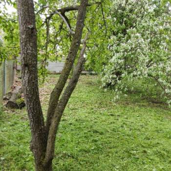 Продается Участок, 400 м²