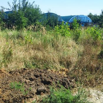 Продается Участок, 541 м²