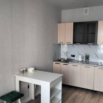 Сдается 1-комнатная квартира, 24,1 м²