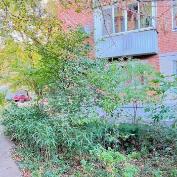 Продается 3-х комнатная квартира, 49,5 м²