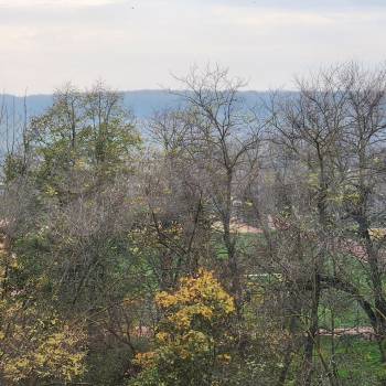 Продается 2-х комнатная квартира, 50,2 м²