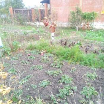 Продается Участок, 600 м²