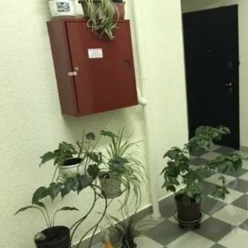 Сдается 1-комнатная квартира, 50 м²