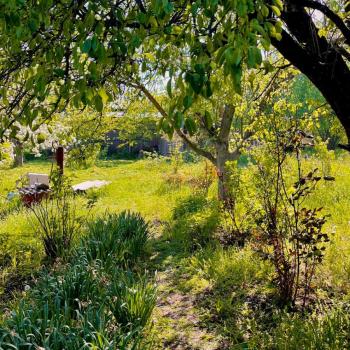 Продается Участок, 553 м²