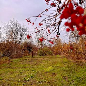 Продается Участок, 553 м²