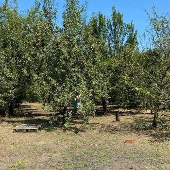 Продается Участок, 620 м²